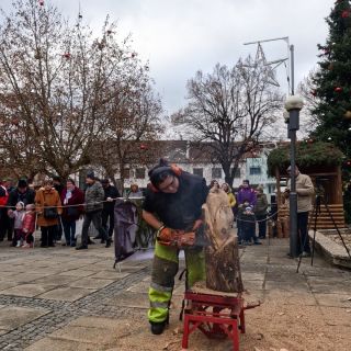 Adventní jarmark v Ivanovicích na Hané 30. listopadu 2024 přinesl návštěvníkům kouzelnou vánoční atmosféru, kreativní...